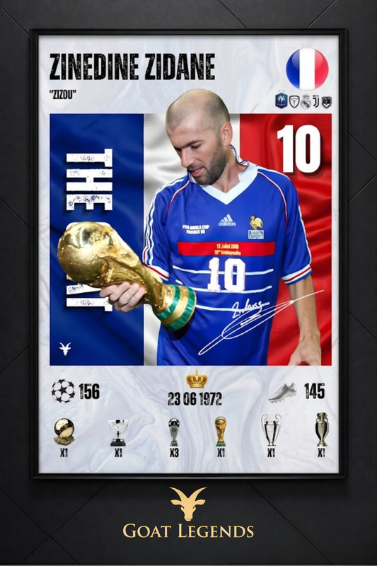 Zinedine Zidane WORLDCUP - 30X40
